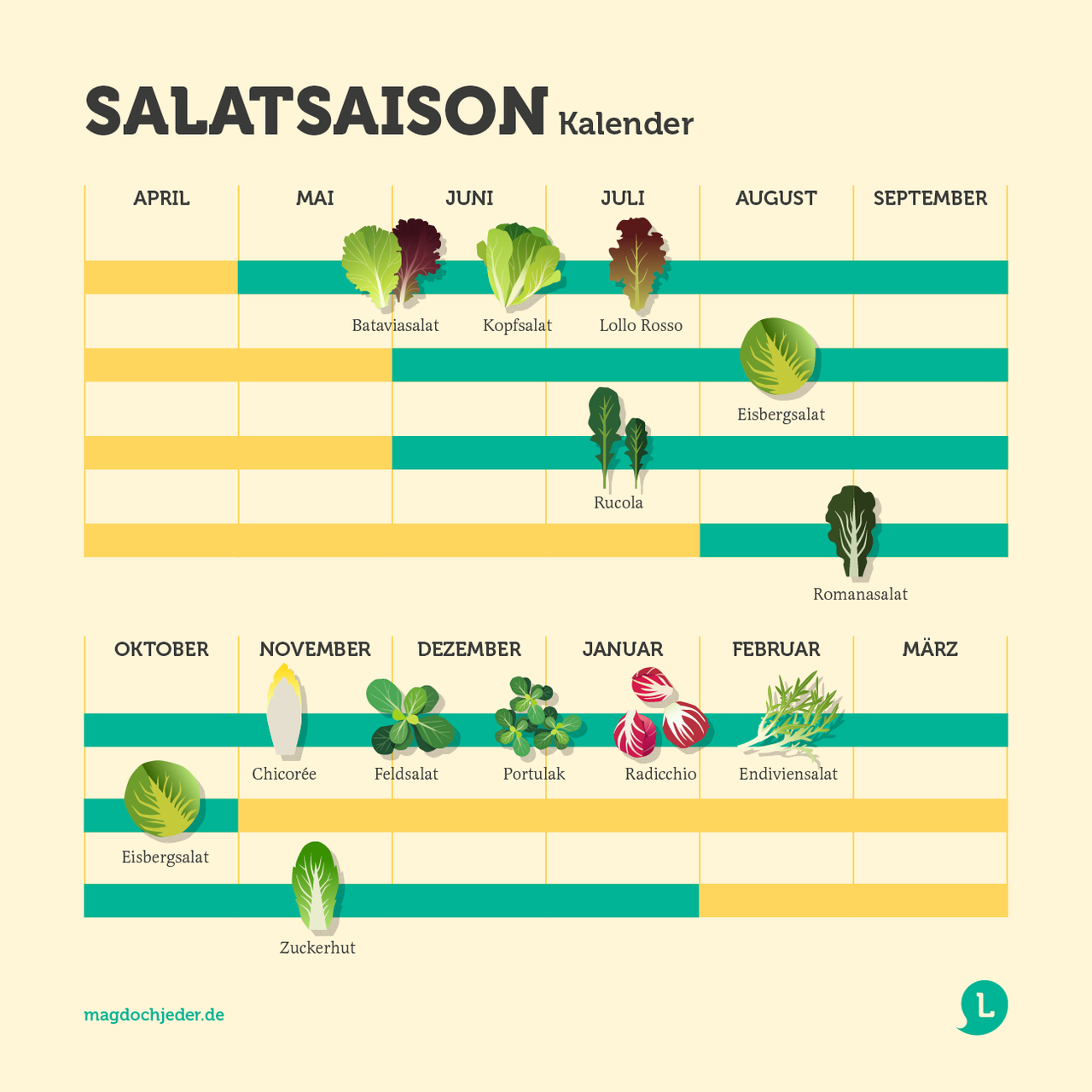 Infografik Salatsaison in Deutschland