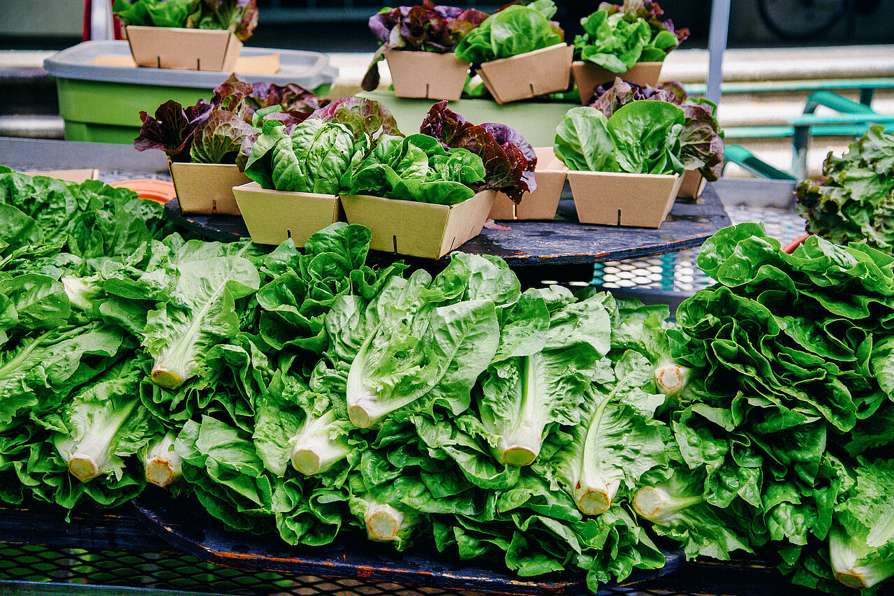 Salate auf einem Markt