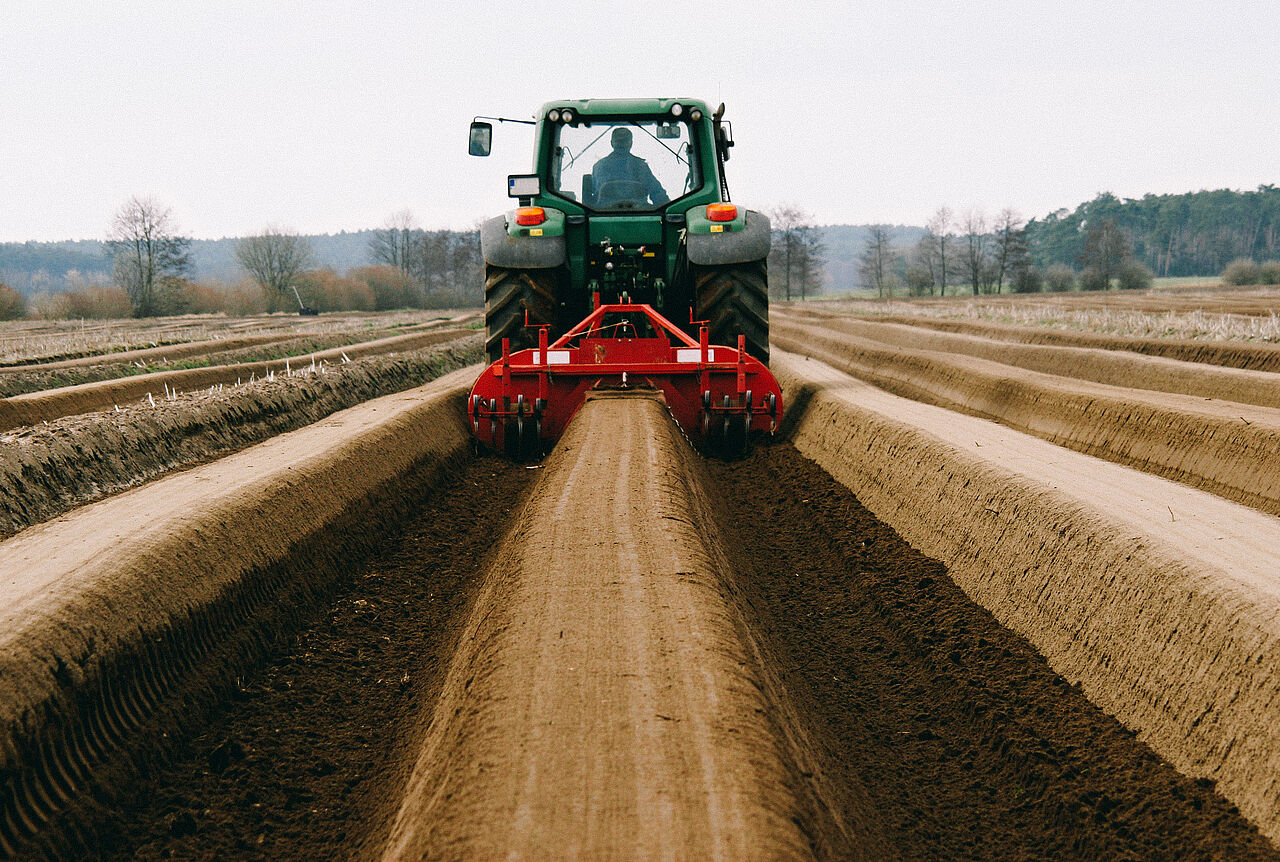Traktor bereitet das Feld für Spargelanbau