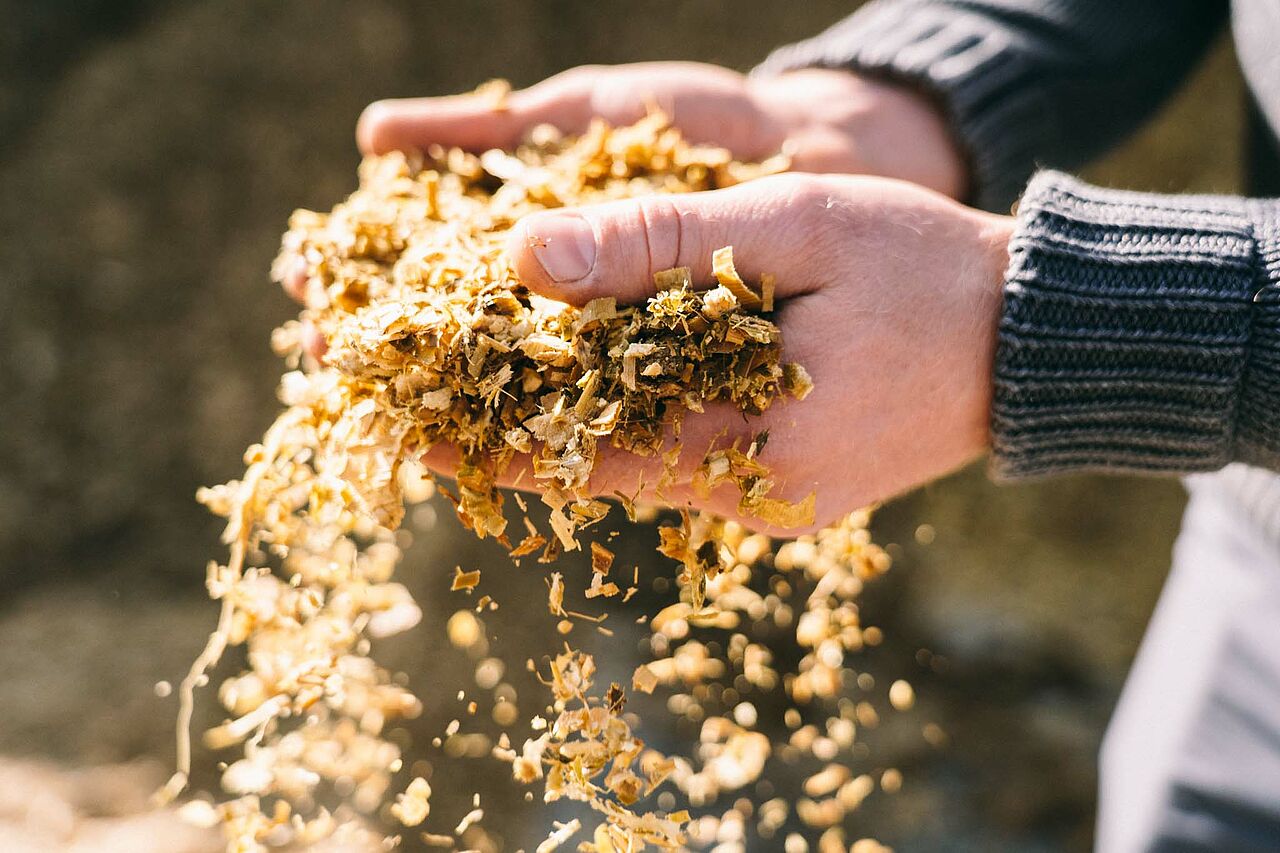 Biomasse als Grundlage für den Betrieb einer Biogasanlage