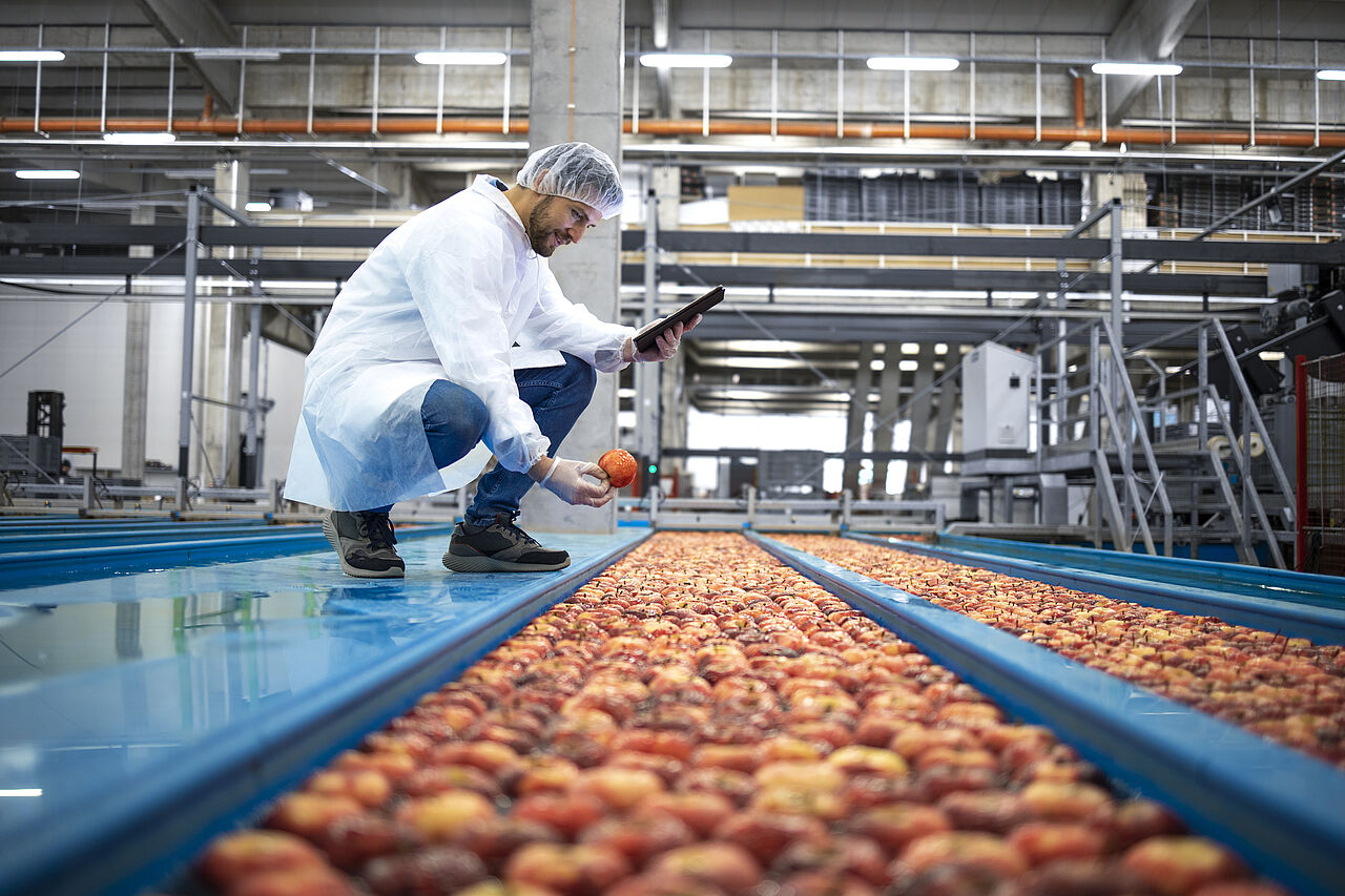 Produktionsstufe bei der Lebensmittelherstellung