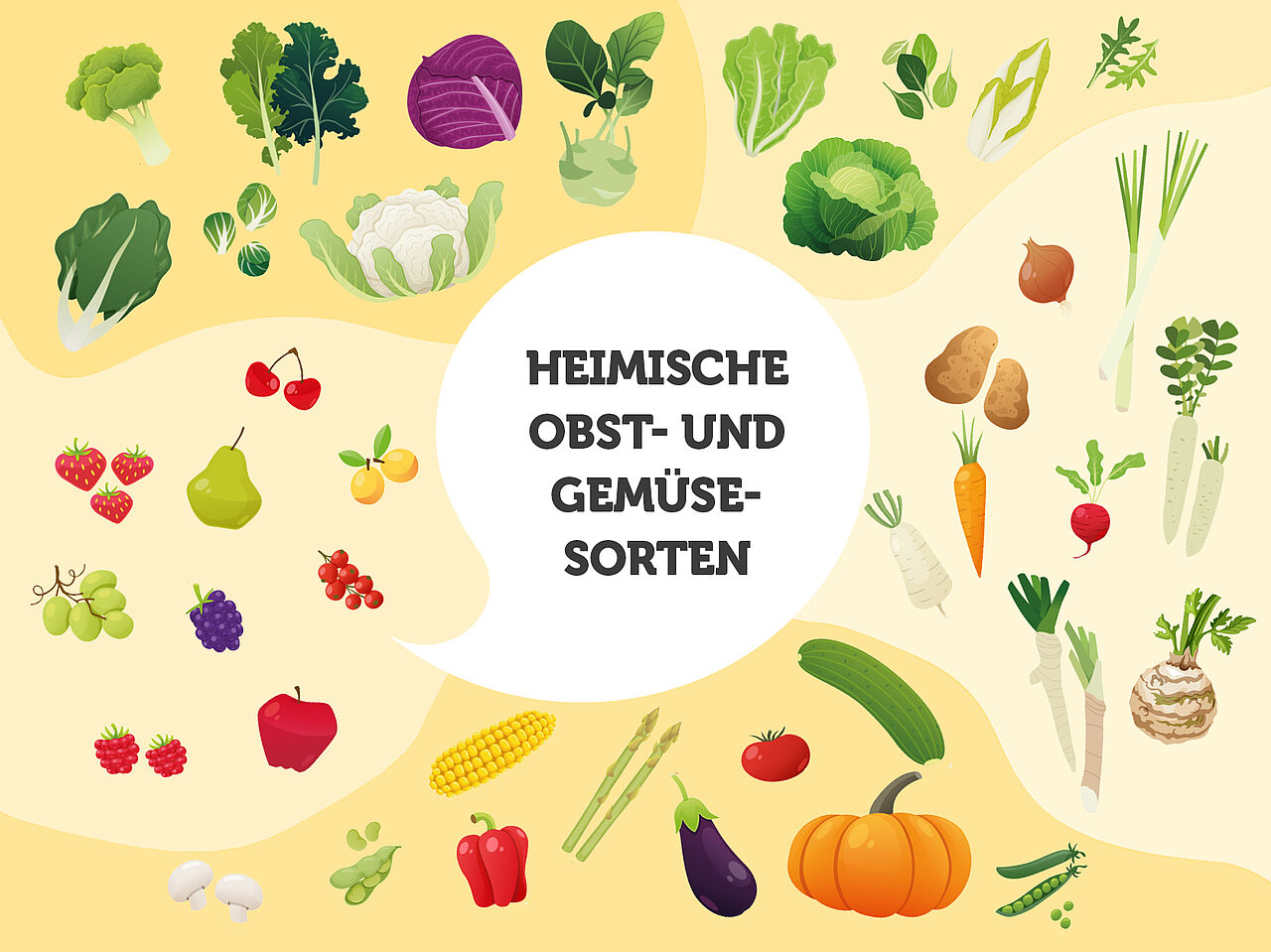 Infografik Landwirtschaftliche Produkte aus Deutschland