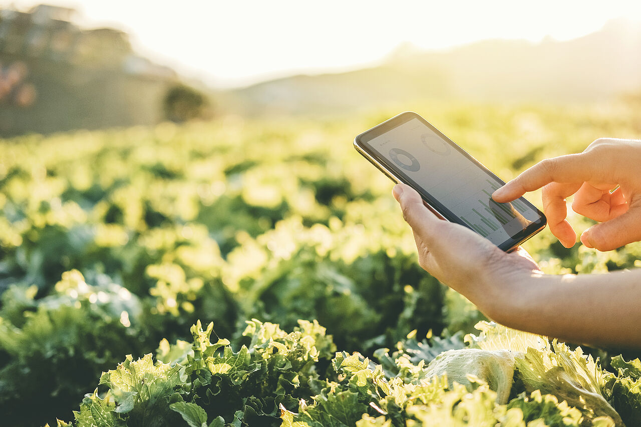 Vorteile der digitalen Landwirtschaft, in den Möglichkeiten der „Sharing Economy“ Vorteile der digitalen Landwirtschaft, in den Möglichkeiten der „Sharing Economy“