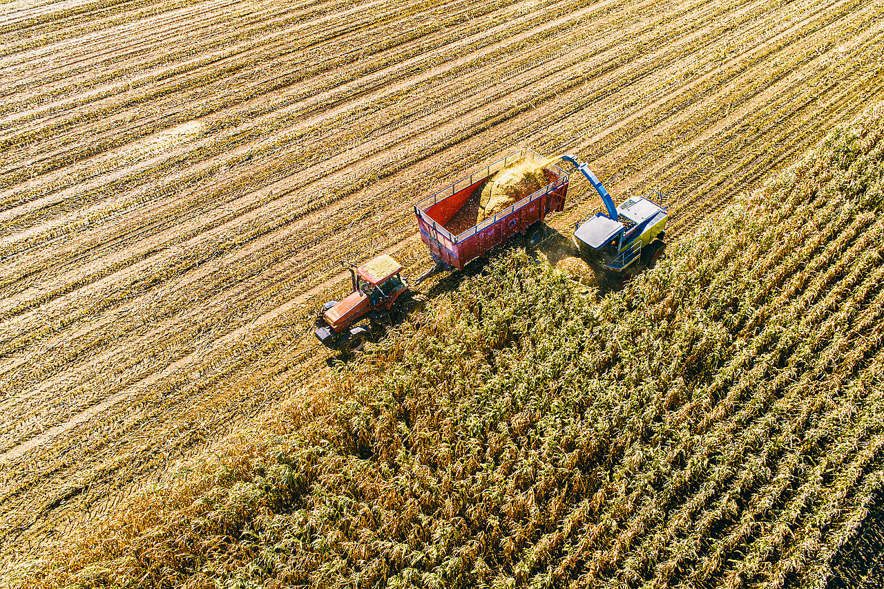 Gewinnung von Biomasse für Biogasanlagen. Gewinnung von Biomasse für Biogasanlagen.