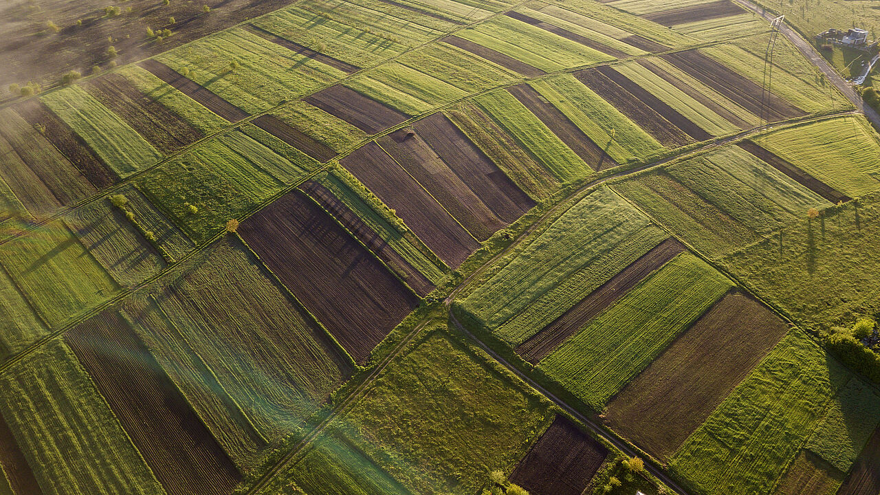 Landwirtschaft erklärt