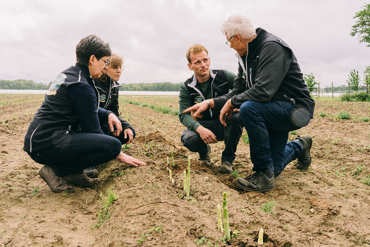 Vier Menschen auf einem Feld