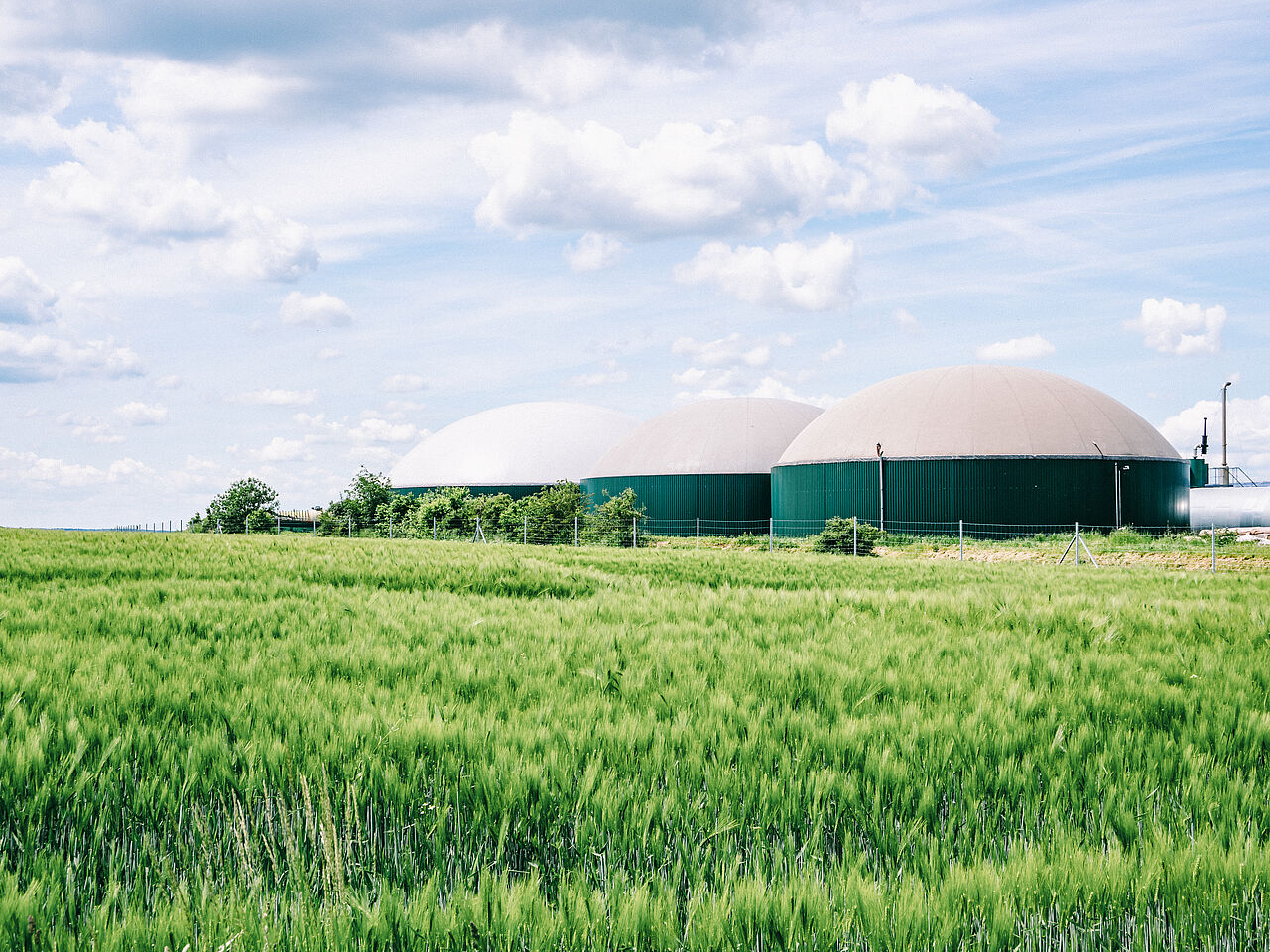 Gewinnung erneuerbarer Bioenergien in der Landwirtschaft mithilfe von Biogasanlagen. Grundlastfähig und umweltschonend – so geht Bioenergie in der Landwirtschaft! Gewinnung erneuerbarer Bioenergien in der Landwirtschaft mithilfe von Biogasanlagen. Grundlastfähig und umweltschonend – so geht Bioenergie in der Landwirtschaft!